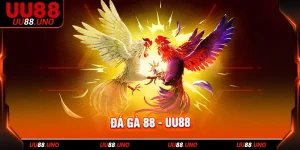 đá gà 88