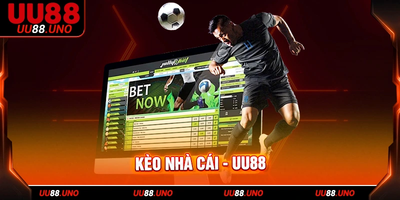 Dựa vào chỉ số quan trọng để dự đoán tỷ lệ kèo nhà cái