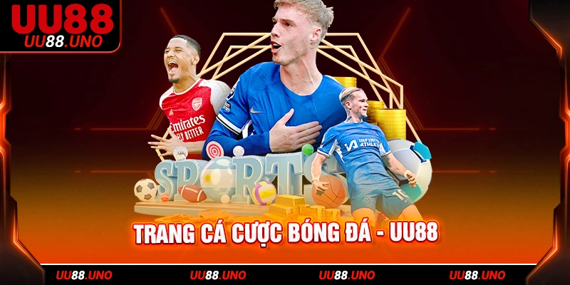 Lựa chọn các nhà cái cá cược có giấy phép uy tín