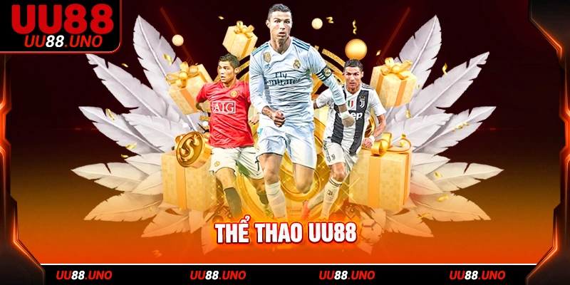 Một số điểm nổi bật của sảnh cược CR Sports