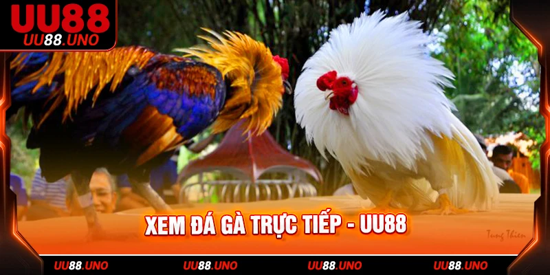 Trận so kè giữa Vương Giả và Bão Táp khó phân thắng bại