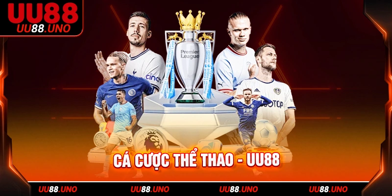 Ưu tiên Premier League vì ít biến động và nhiều thông tin