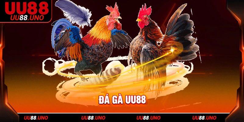 UU88 áp dụng quy tắc đặt cược minh bạch